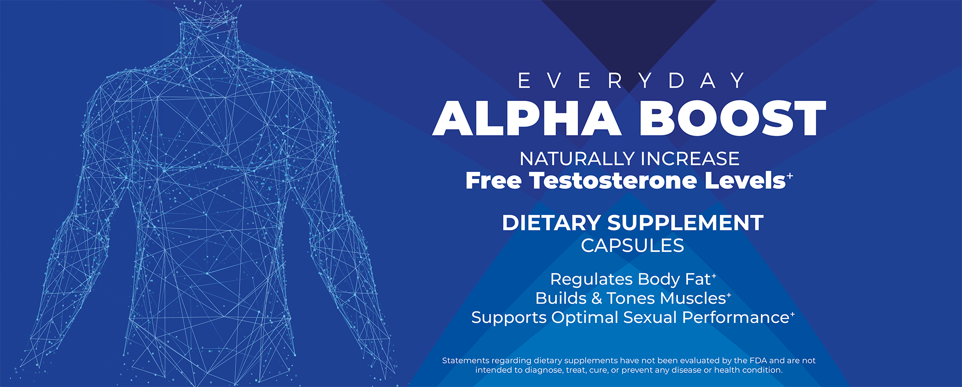 Everyday Alpha Boost - Naturally increase free testosterone levels